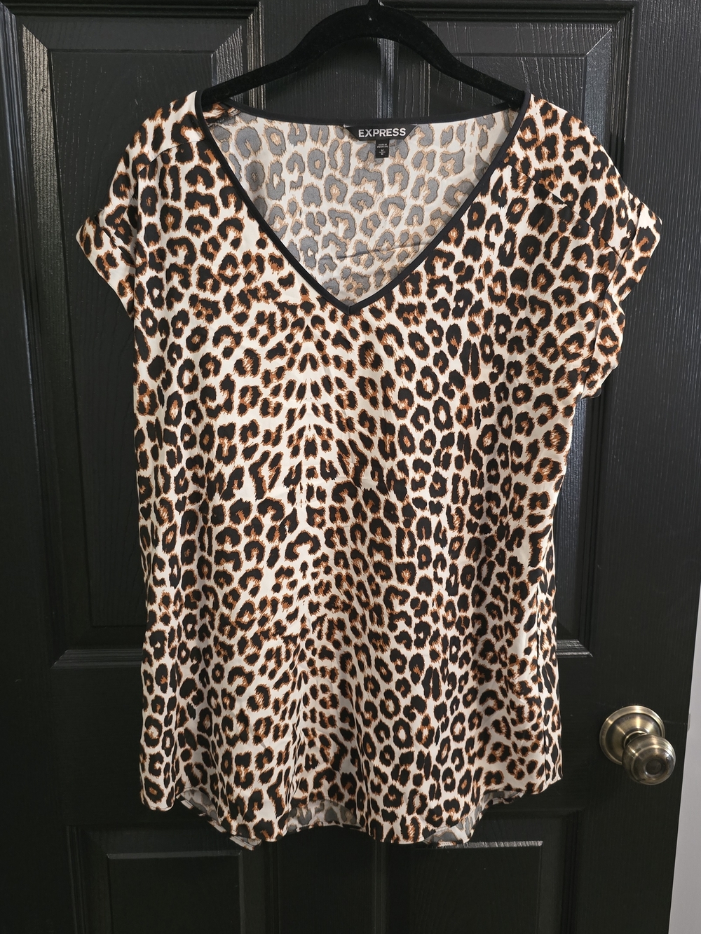 Express Leopard Print V-Neck Blouse - Brown/Tan/Black